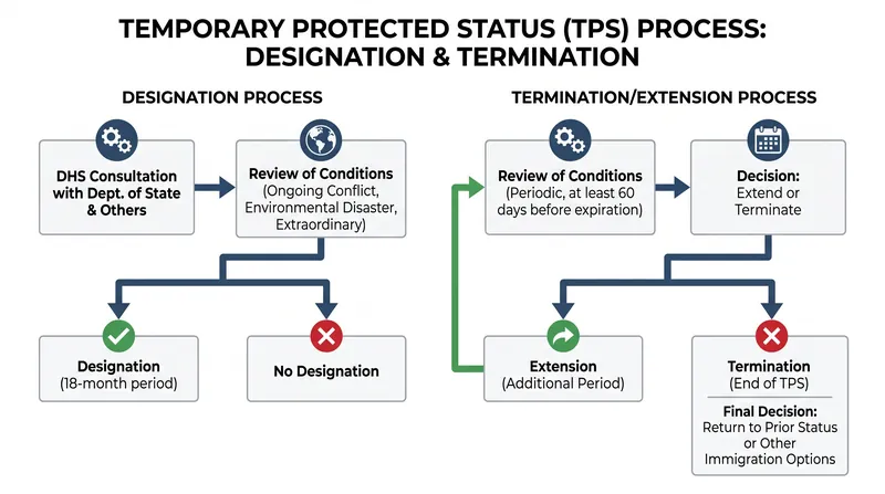 The statutory process for designating and terminating Temporary Protected Status under the Immigration Act of 1990.
