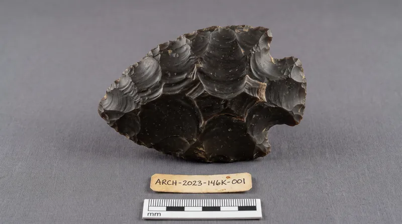 The asymmetrical stone cores required a deep understanding of fracture mechanics and spatial geometry.