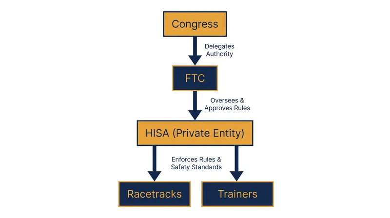 How HISA operates under the oversight of the Federal Trade Commission.