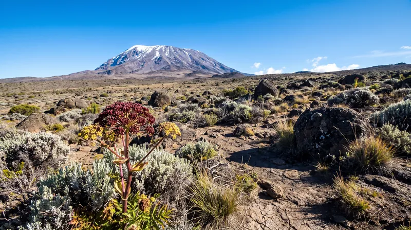 The Shira Plateau, sitting at roughly 12,000 feet, is the proposed terminus for the new cable car system.