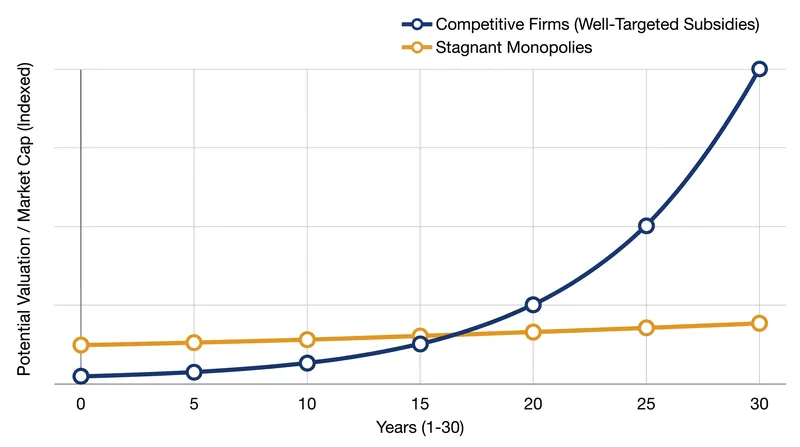 Subsidies only yield long-term productivity gains when allocated to highly competitive sectors.