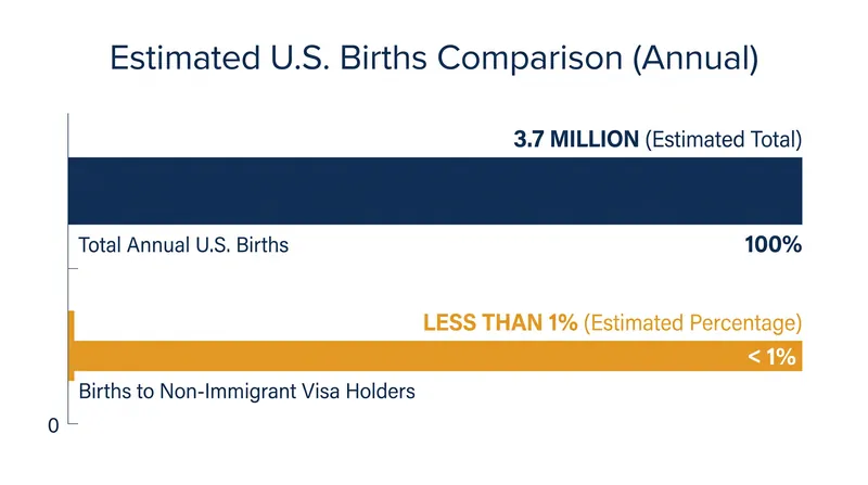 Births to non-immigrant visa holders represent a marginal fraction of total annual U.S. births.