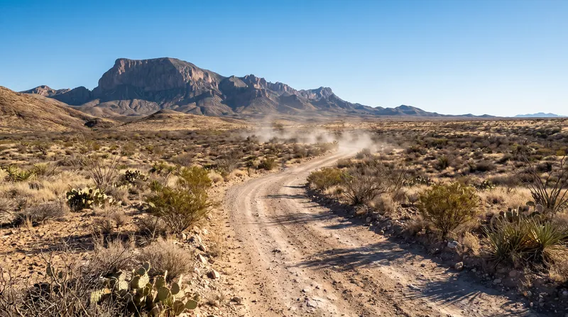 Heavy machinery has already begun grading new patrol roads through the fragile desert ecosystem.