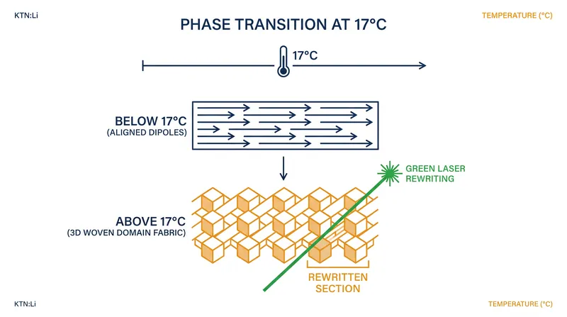 How the KTN:Li crystal transitions into a 3D woven fabric and responds to optical manipulation.