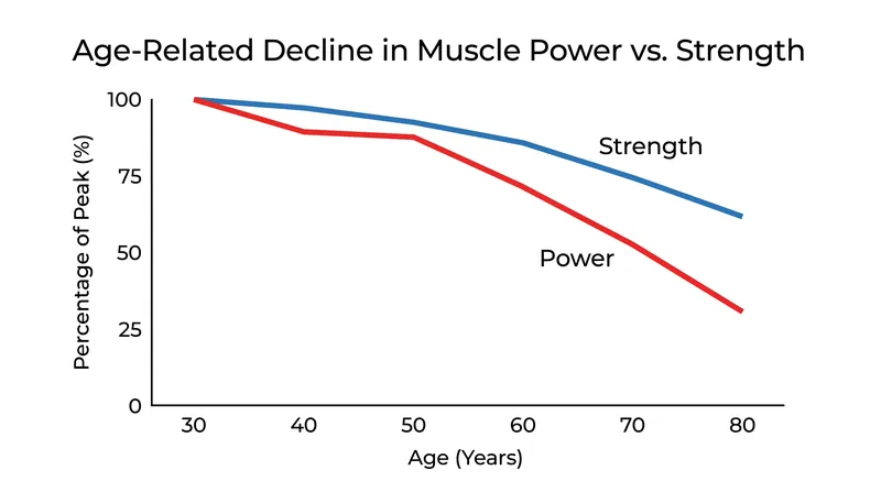 Muscle power declines at a faster rate than raw strength as adults age, making power training a critical component of functional independence.