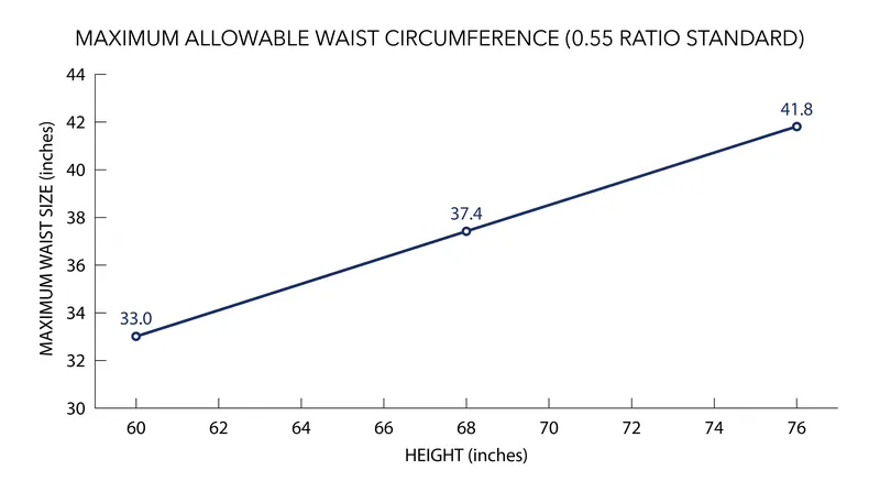 Maximum allowable waist measurements scale linearly with a service member's height.