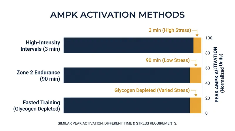 Different pathways to the same metabolic destination.