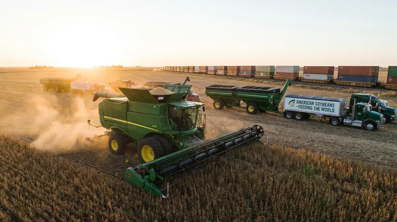 As part of the truce, China has committed to resuming large-scale purchases of American agricultural products.