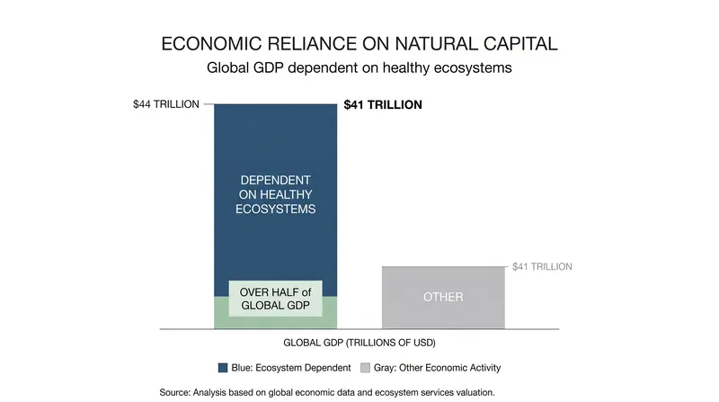 More than half of the global gross domestic product is moderately or highly reliant on natural capital.