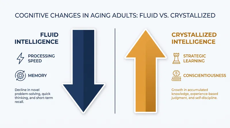 While fluid intelligence may decrease with age, strategic learning and conscientious decision-making often improve.