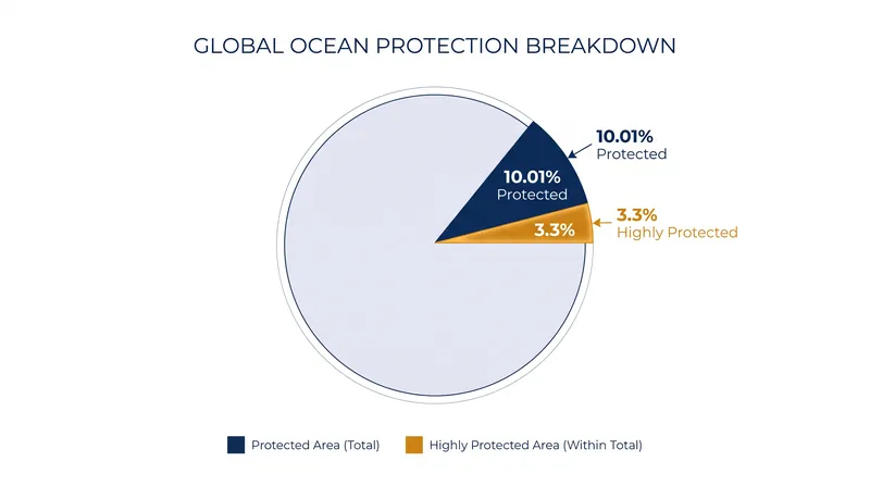While 10 percent of the ocean is protected on paper, only a fraction is highly protected from extractive industries.