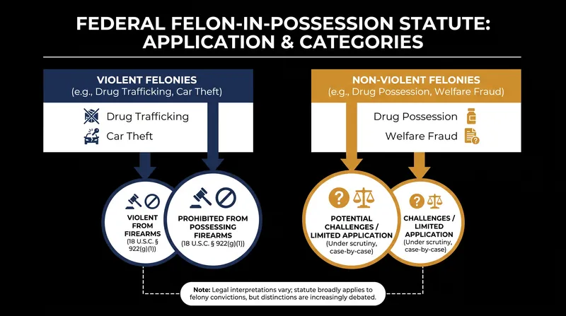 Courts are increasingly distinguishing between violent and non-violent felonies when evaluating Second Amendment rights.