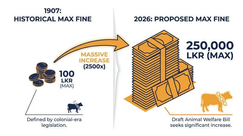 The proposed Animal Welfare Bill would dramatically increase the financial penalties for animal cruelty, replacing a century-old colonial ordinance.