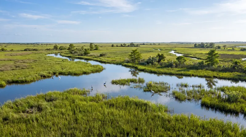 The 125,000-acre tract of coastal marshland presents significant environmental and engineering challenges.