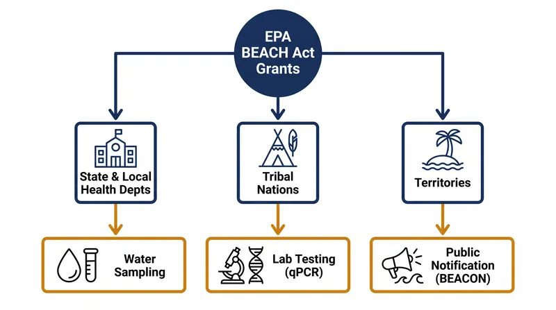 How federal grants flow down to local beach monitoring programs.
