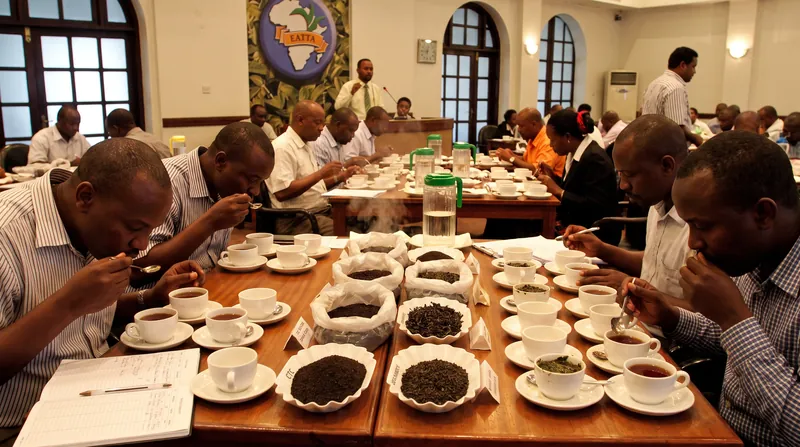 The Mombasa Tea Auction serves as the primary trading hub for East African tea, where the new levy is already shifting buyer behavior.