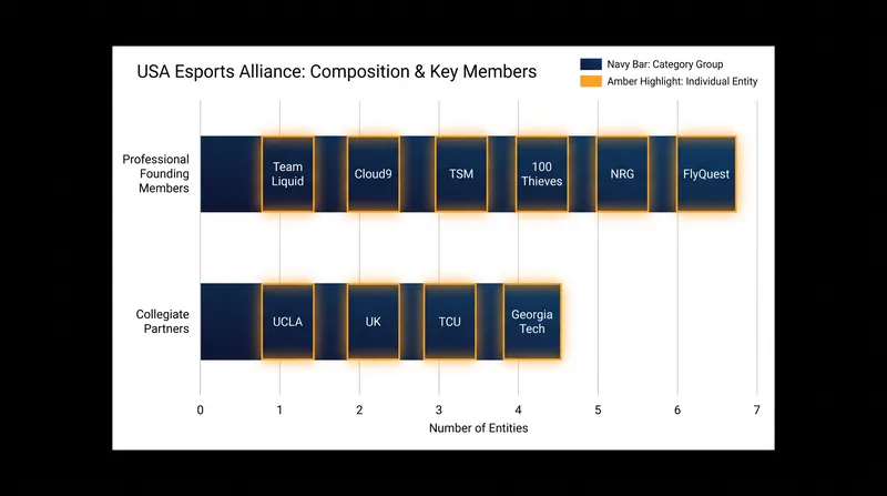 The USA Esports Alliance bridges the gap between commercial professional clubs and major academic institutions.