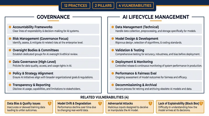 The FSB's framework organizes AI governance into 12 distinct practices across two main pillars.