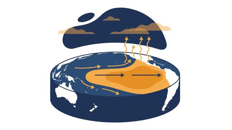 How El Niño alters ocean circulation and concentrates heat in the tropical Pacific.