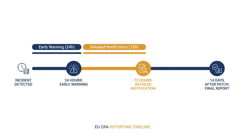 The mandatory reporting timeline under Article 14 of the Cyber Resilience Act.
