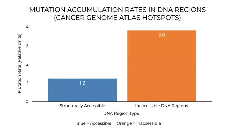 Sequence contexts that hindered repair enzymes in the lab align precisely with mutational hotspots in human tumors.
