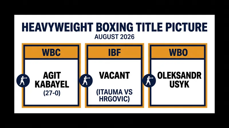 The fractured heavyweight title landscape following Oleksandr Usyk's decision to vacate multiple belts.