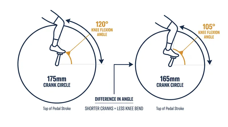 Shorter cranks reduce the size of the pedal circle, significantly decreasing knee flexion at the top of the stroke.