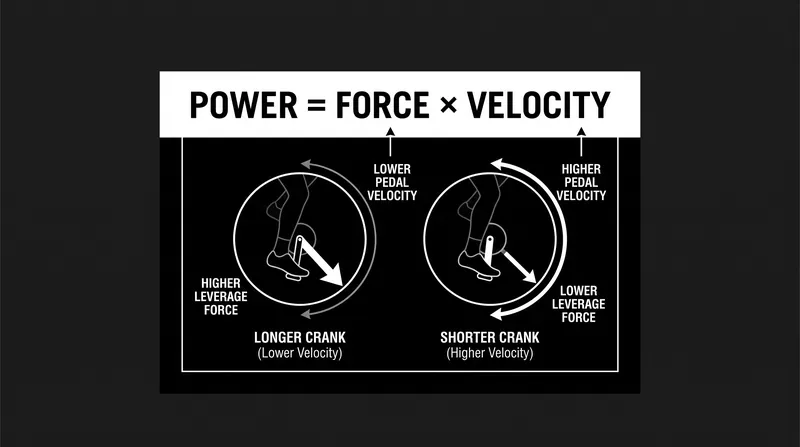 The mechanical leverage lost by a shorter crank is entirely offset by an increase in pedal velocity.