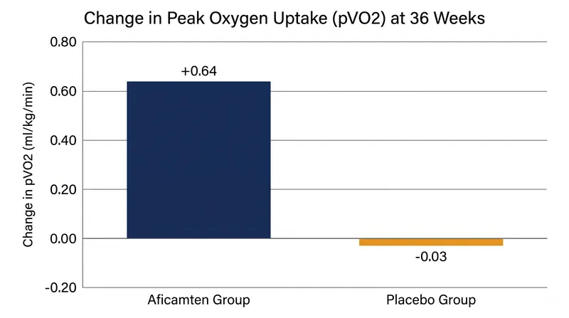 Patients taking aficamten saw a significant increase in peak oxygen uptake, a gold-standard measure of cardiovascular fitness.