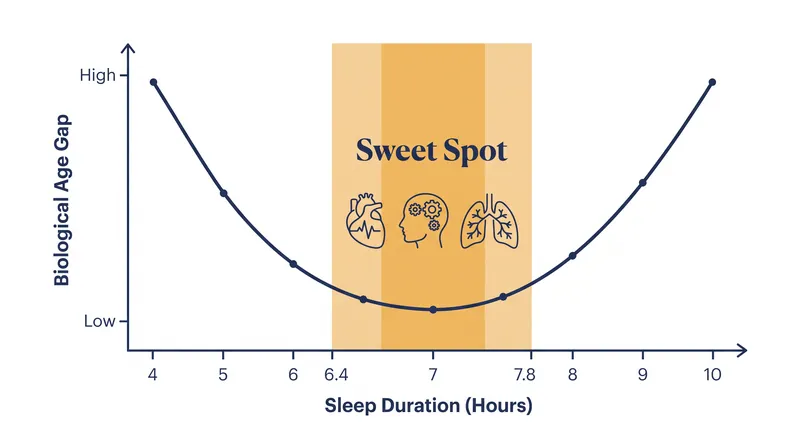 Biological aging accelerates when sleep duration falls outside the 6.4 to 7.8-hour window.