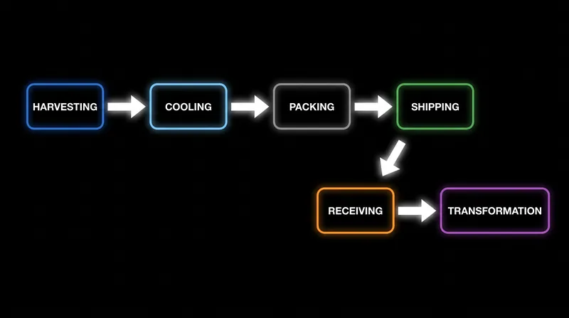 Key Data Elements must be recorded at each of these Critical Tracking Events.