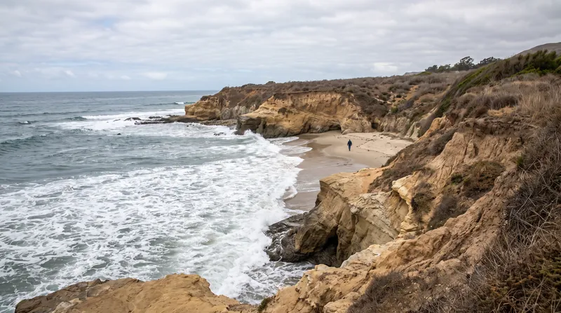 The pipeline had been dormant since a 2015 rupture spilled crude oil onto Refugio State Beach.