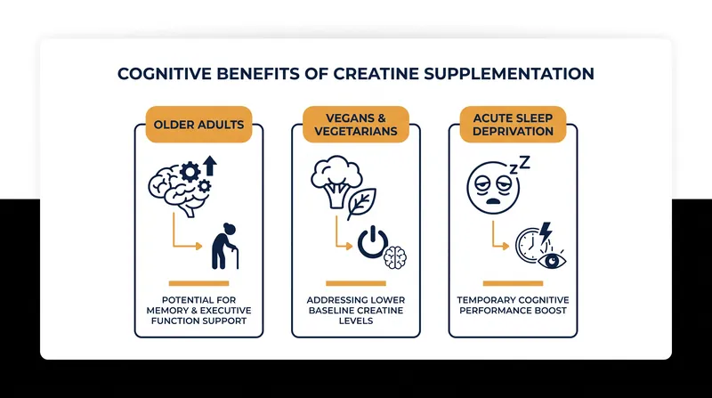 Populations with lower baseline brain creatine levels or those facing acute metabolic stress see the most significant cognitive benefits from supplementation.