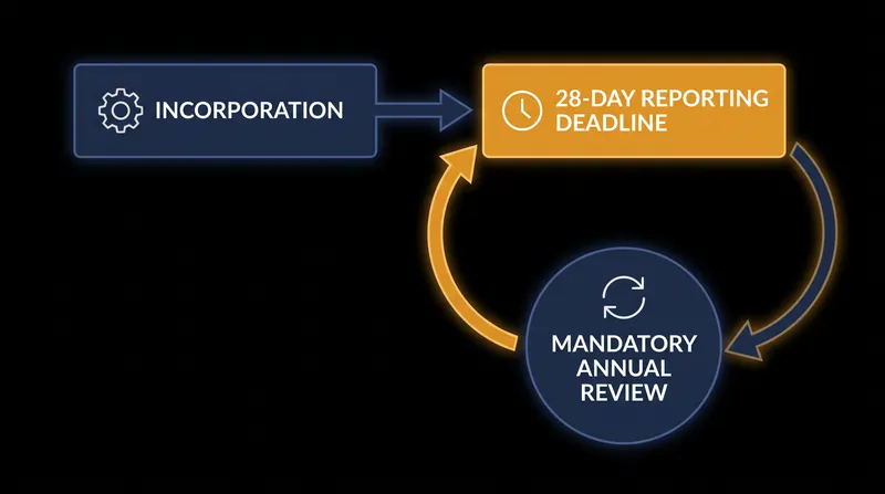The Single Rulebook eliminates national discretion in beneficial ownership reporting, enforcing strict 28-day deadlines.