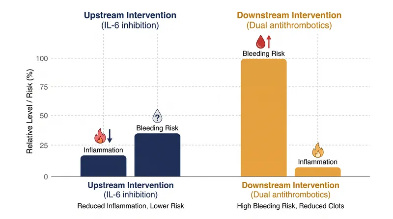 Targeting upstream inflammation offers a safer intervention point than attempting to prevent clotting after a plaque ruptures.