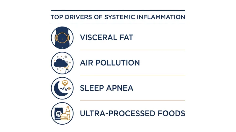Systemic inflammation is driven by a combination of environmental and lifestyle factors.