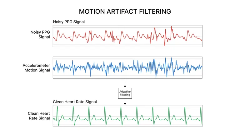 Because motion artifacts overlap with heart rate frequencies, algorithms must mathematically subtract arm movement from the raw optical data.