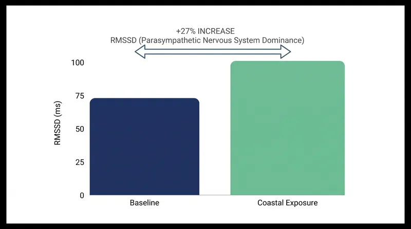 Exposure to coastal environments significantly increases parasympathetic nervous system activity, shifting the body into a 'rest and digest' state.