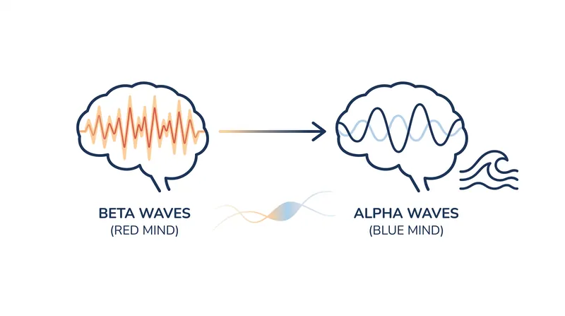 The rhythmic 'pink noise' of ocean waves helps shift the brain from anxious beta waves into relaxed alpha waves.