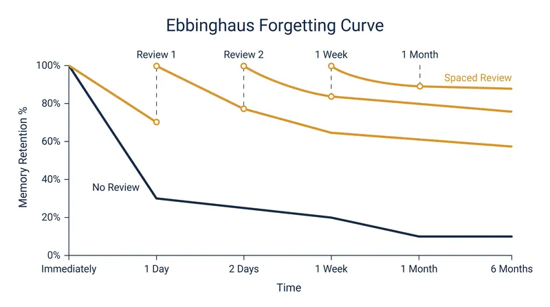 Spaced practice flattens the forgetting curve by forcing the brain to reconsolidate memories just as they begin to fade.