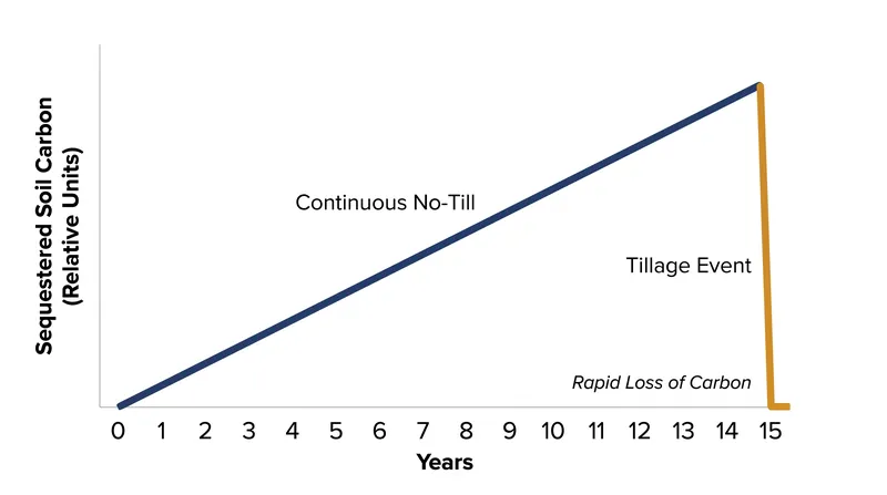 A single pass with a plow can erase decades of accumulated soil carbon.