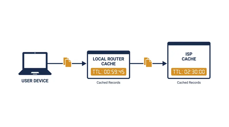 Caching stores IP addresses closer to the user to eliminate the latency of repeated global lookups.