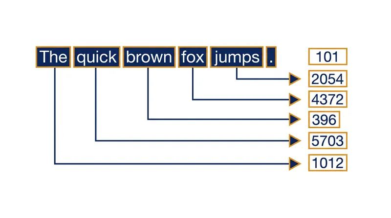 Tokenization converts raw human language into the numerical integers that the model actually processes.