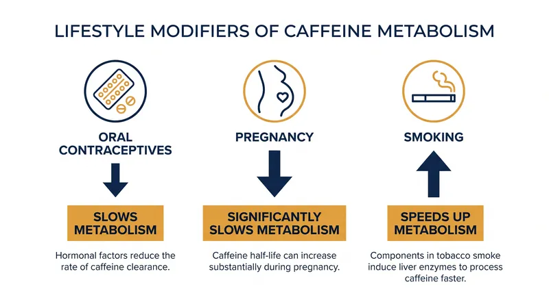Even with a fast-metabolizing genetic baseline, lifestyle factors and medications can dramatically alter how quickly your liver processes caffeine.