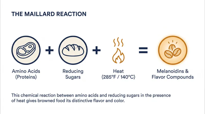 The Maillard reaction requires both proteins and sugars, activating rapidly at 285°F.