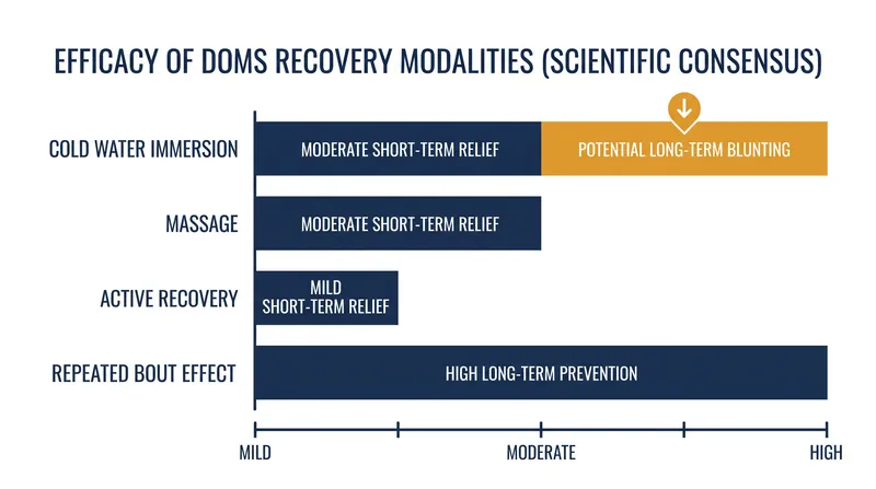 Comparing the relative effectiveness of common recovery interventions for muscle soreness.