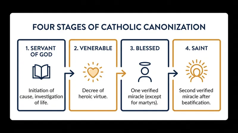 The four distinct stages a candidate must pass through to be declared a saint.