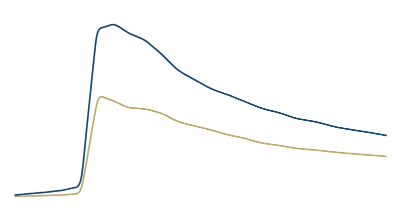 The rapid expansion and gradual runoff of central bank assets.
