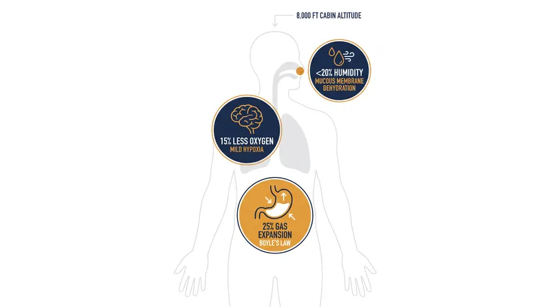 The combination of reduced oxygen, gas expansion, and extreme dryness places invisible stress on the cardiovascular and respiratory systems.