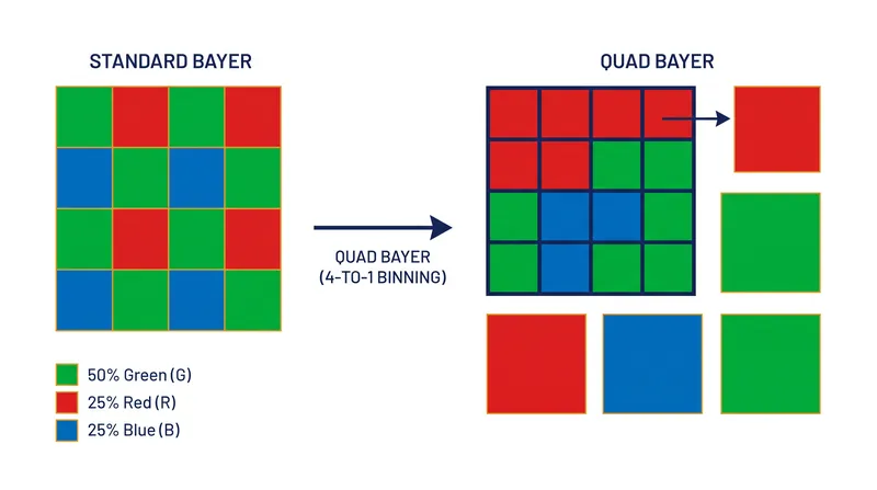 The Bayer array mimics human vision by dedicating half of its pixels to green light, which dictates our perception of luminance.